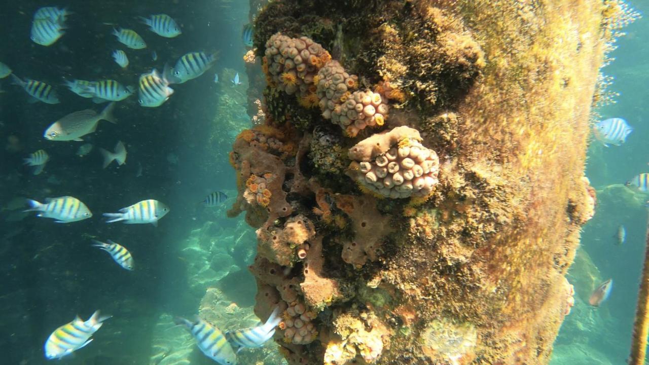 Pousada Conves - Ilha Grande Praia de Aracatiba Ngoại thất bức ảnh